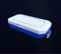 Summer Skin case