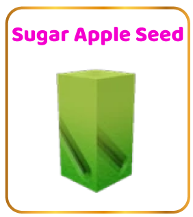 Sugar Apple Seed